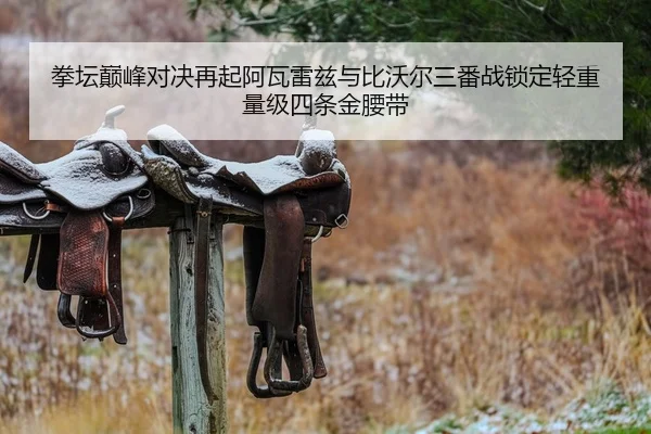拳坛巅峰对决再起阿瓦雷兹与比沃尔三番战锁定轻重量级四条金腰带